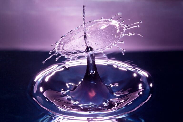 fluidos